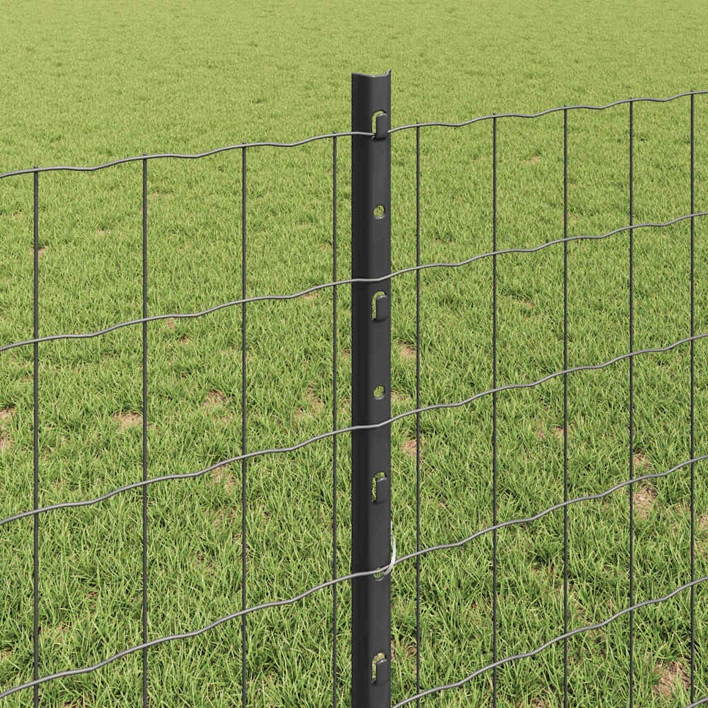 Zavarena žičana ograda 25 x 0,8 m (Š x V) Čelik premazan PVC-om