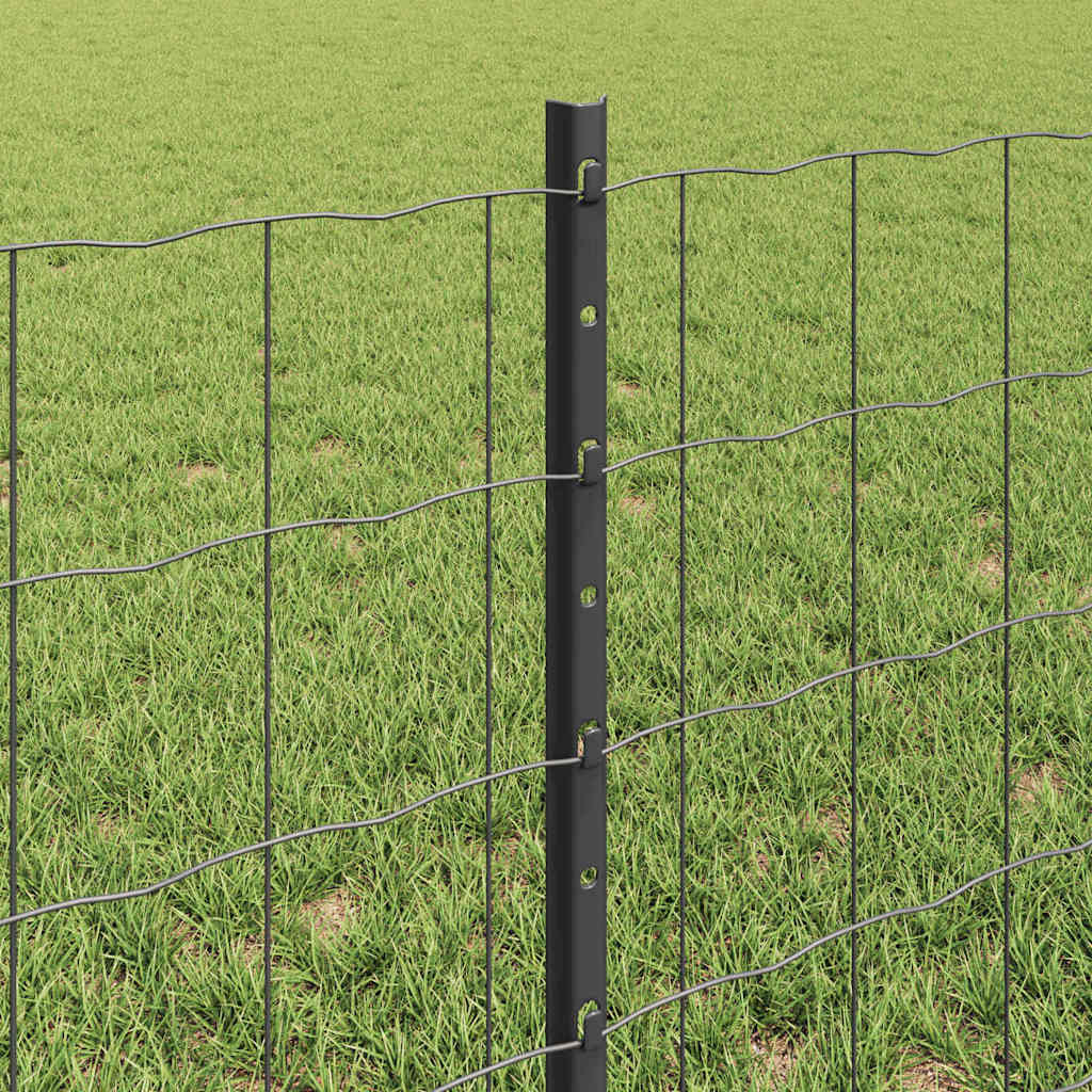 Zavarena žičana ograda 50 x 0,6 m (Š x V) Čelik premazan PVC-om