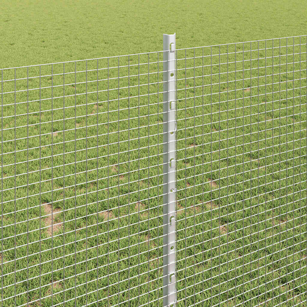 Zavarena žičana ograda s postom 50 x 1 m Vruće pocinčani čelik