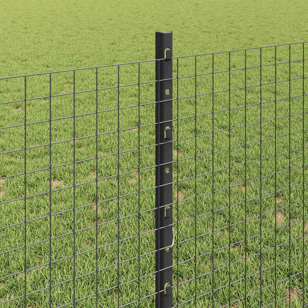 Zavarena žičana ograda s postom 10 x 0,8 m (Š x V)