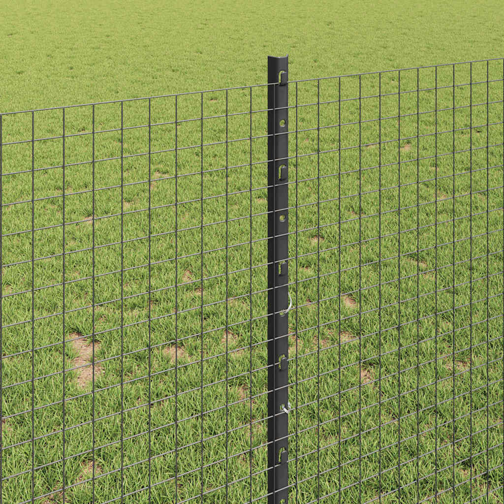 Zavarena žičana ograda s postom 10 x 1 m (Š x V)