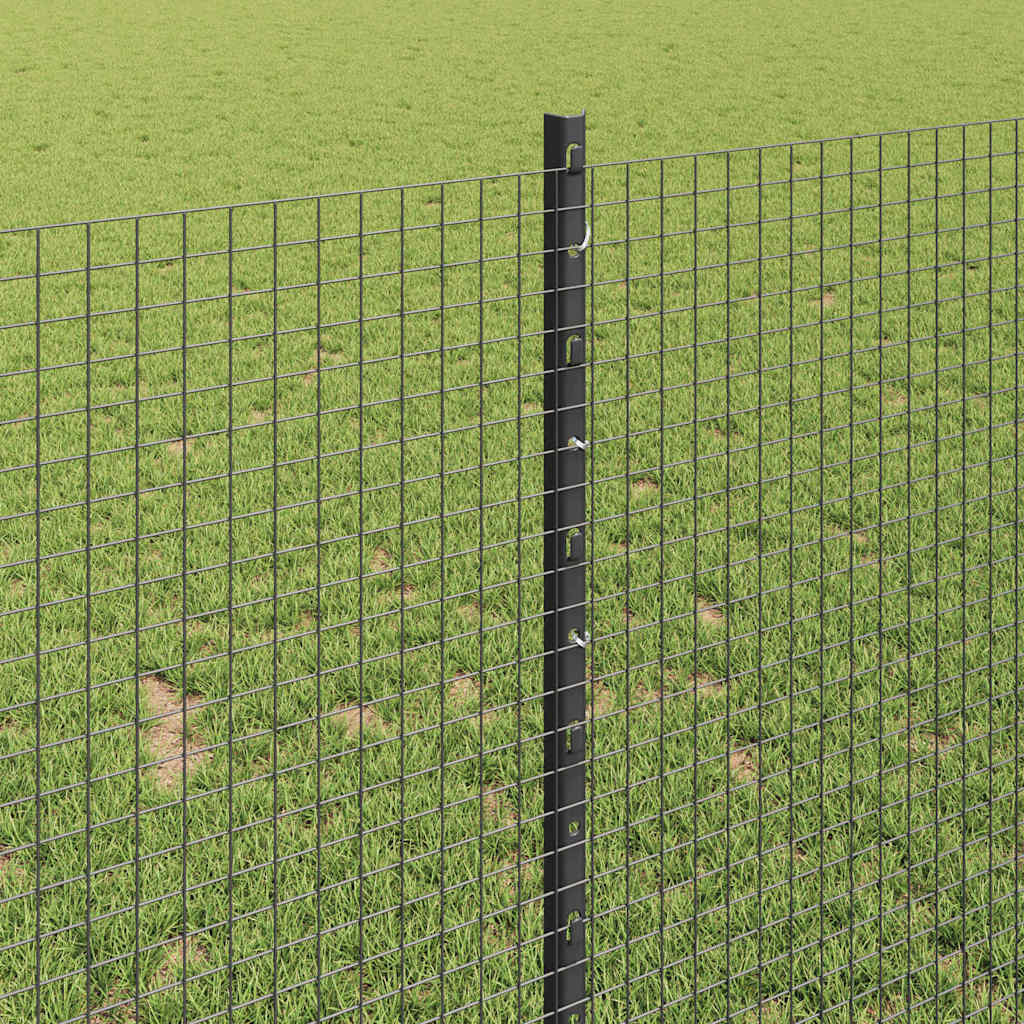 Zavarena žičana ograda s postom 25 x 1 m (Š x V)