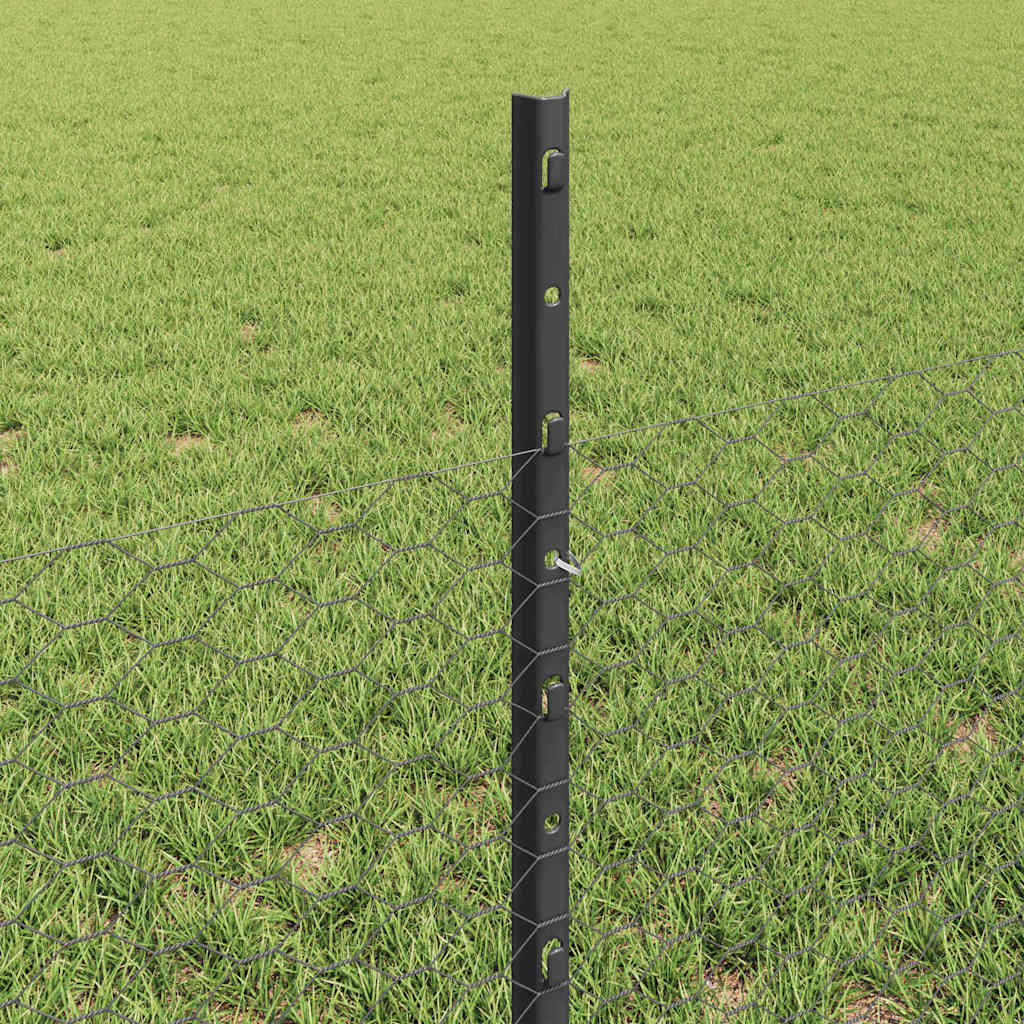 Zavarena žičana ograda 10 x 0,5 m (Š x V) Čelik premazan PVC-om