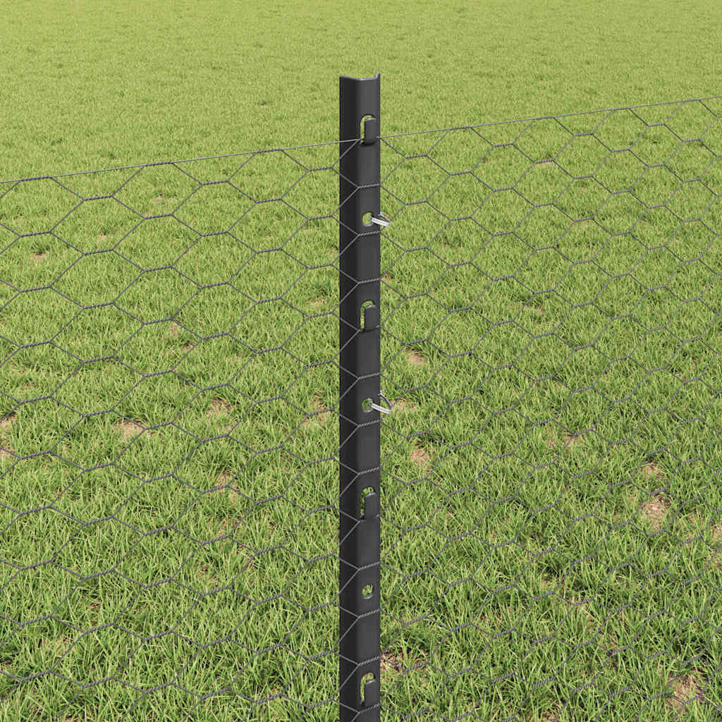 Zavarena žičana ograda 10 x 0,8 m (Š x V) Čelik premazan PVC-om