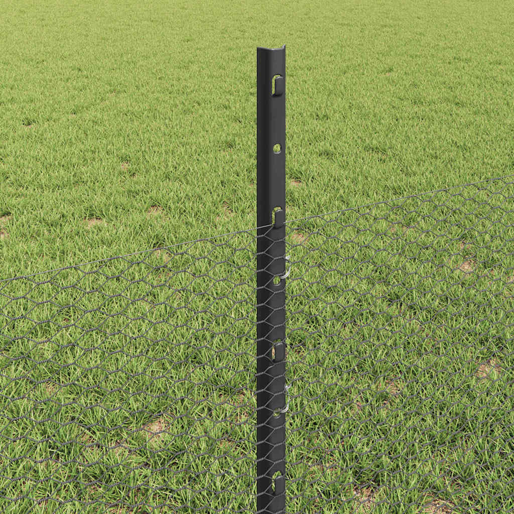 Zavarena žičana ograda 100 x 0,5 m (Š x V)