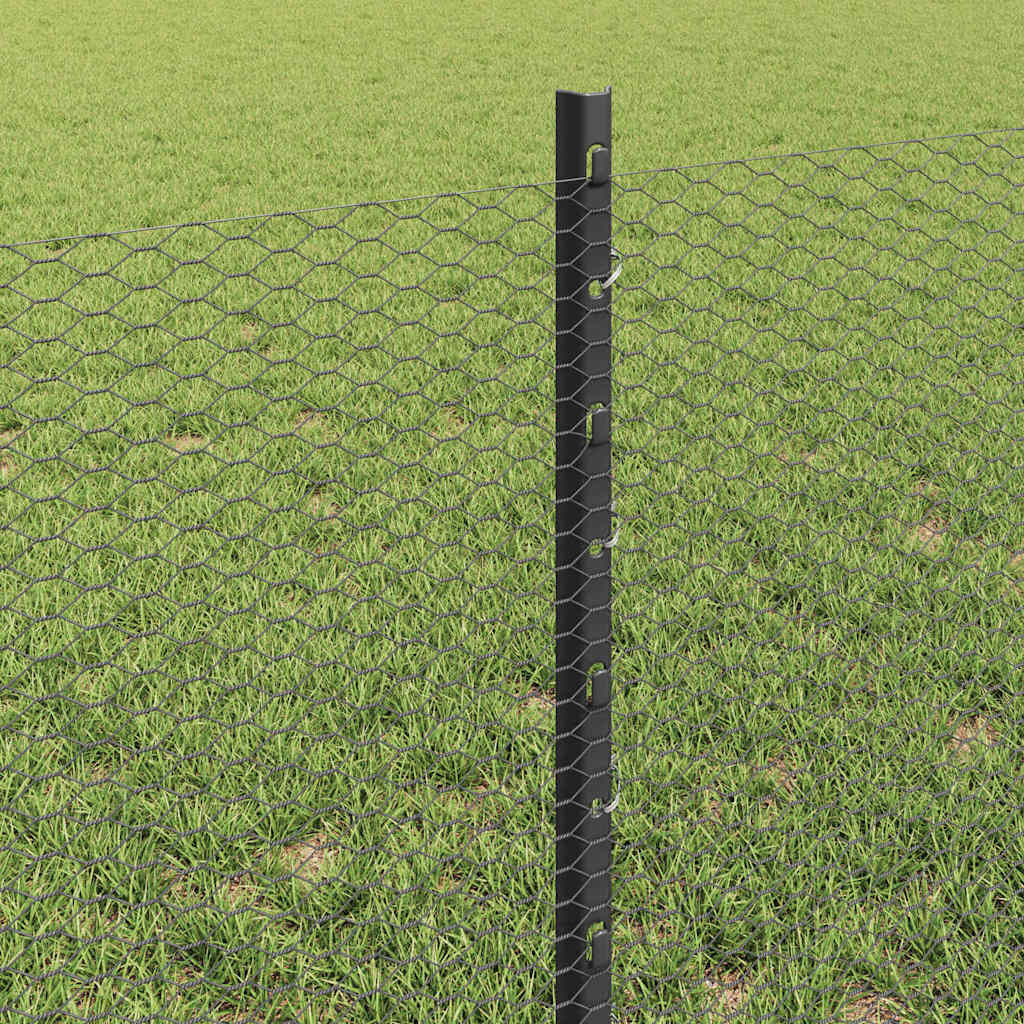 Zavarena žičana ograda 100 x 0,6 m (Š x V)