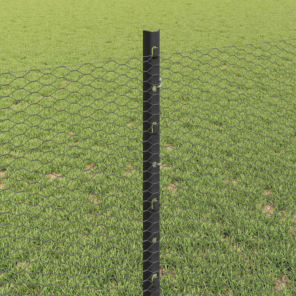 Zavarena žičana ograda 100 x 0,8 m (Š x V)
