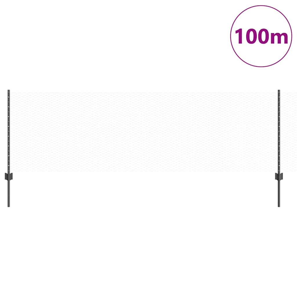 Zavarena žičana ograda 100 x 0,8 m (Š x V)
