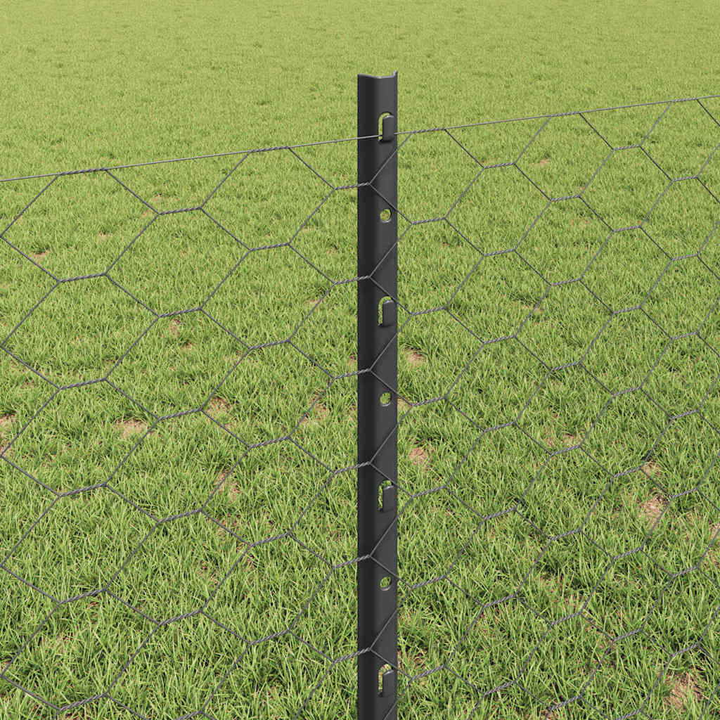 Zavarena žičana ograda 100 x 0,8 m (Š x V)