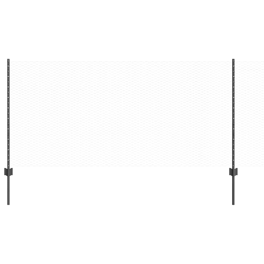 Zavarena žičana ograda 100 x 1 m (Š x V) Čelik premazan PVC-om