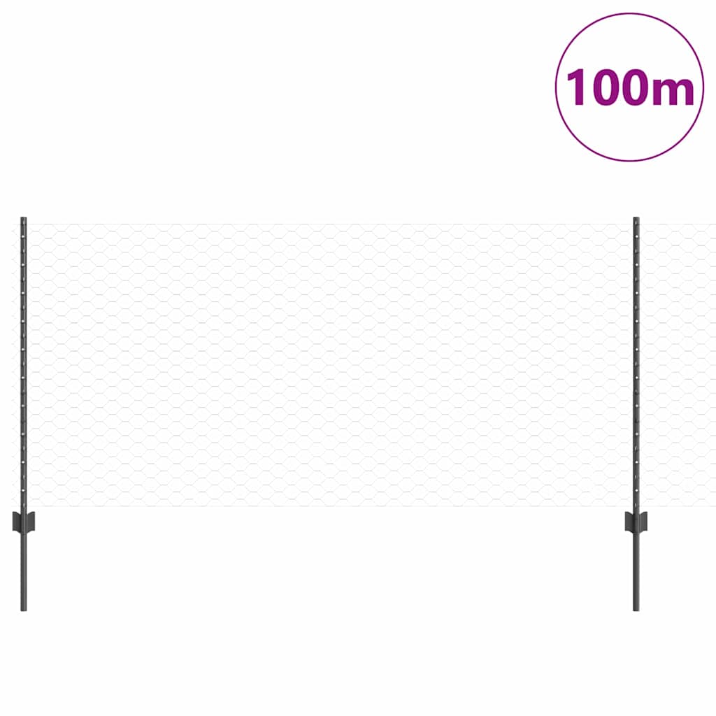 Zavarena žičana ograda 100 x 1 m (Š x V) Čelik premazan PVC-om
