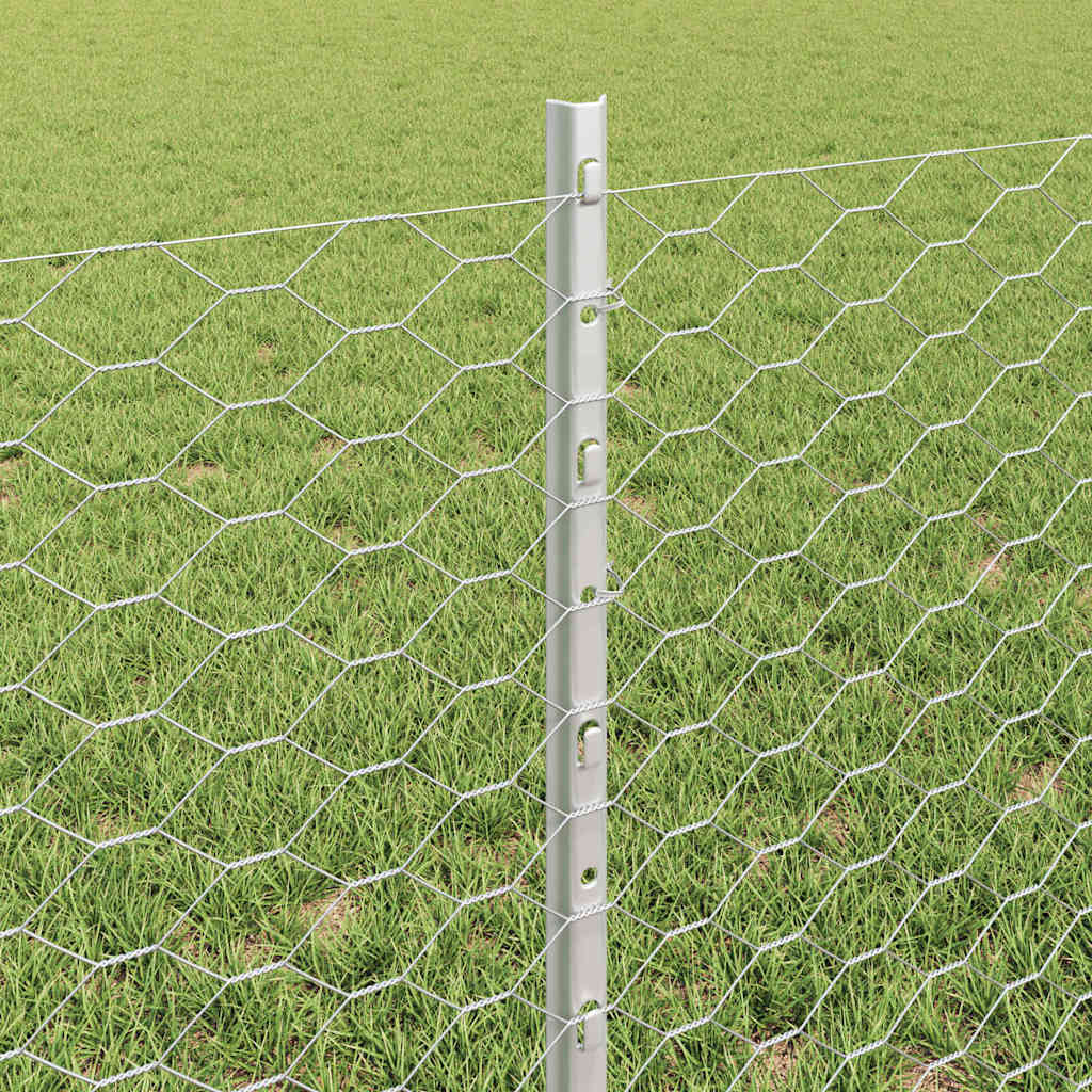 Zavarena žičana ograda 10 x 0,6 m (Š x V) Vruće pocinčani čelik