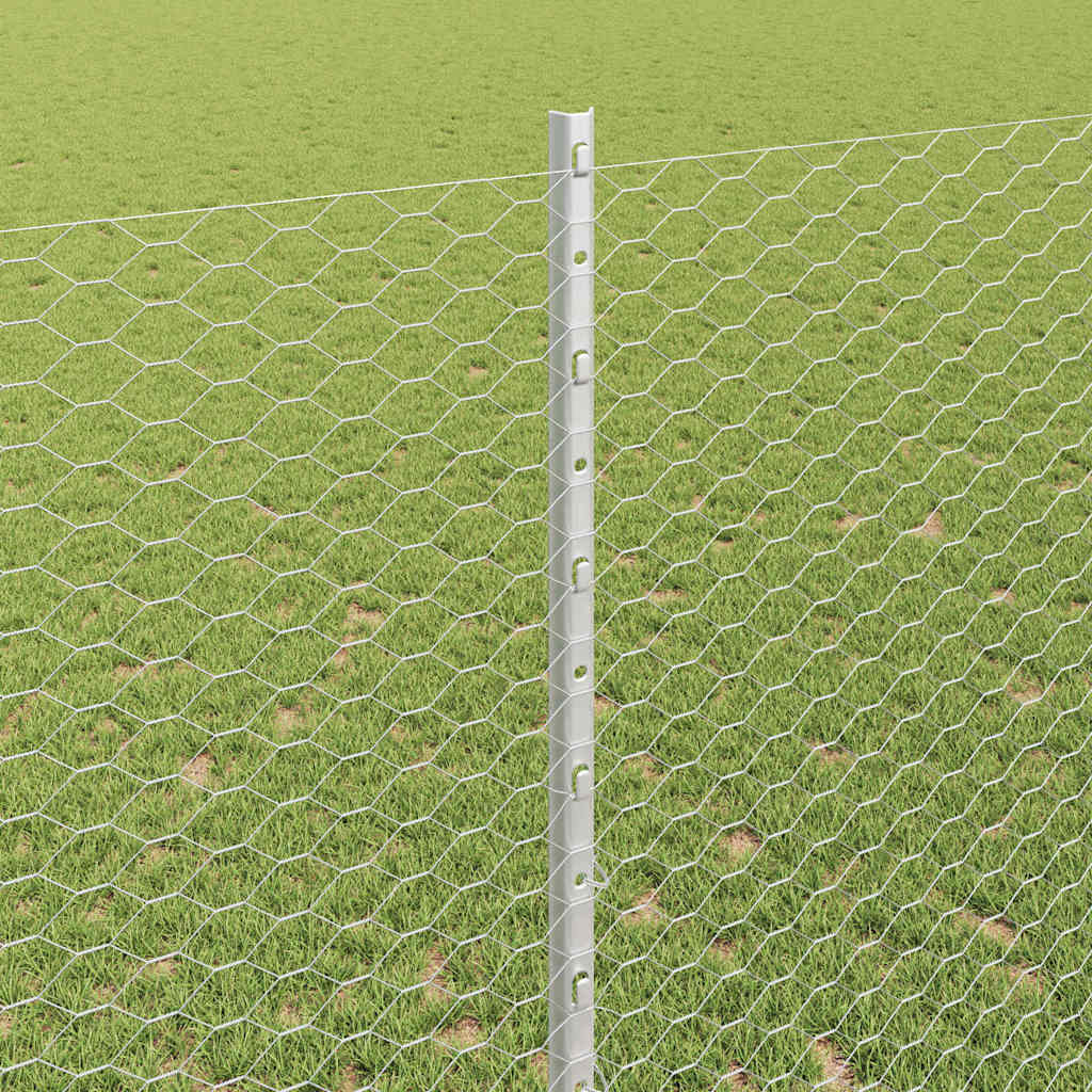 Zavarena žičana ograda 10 x 1,4 m (Š x V) Vruće pocinčani čelik