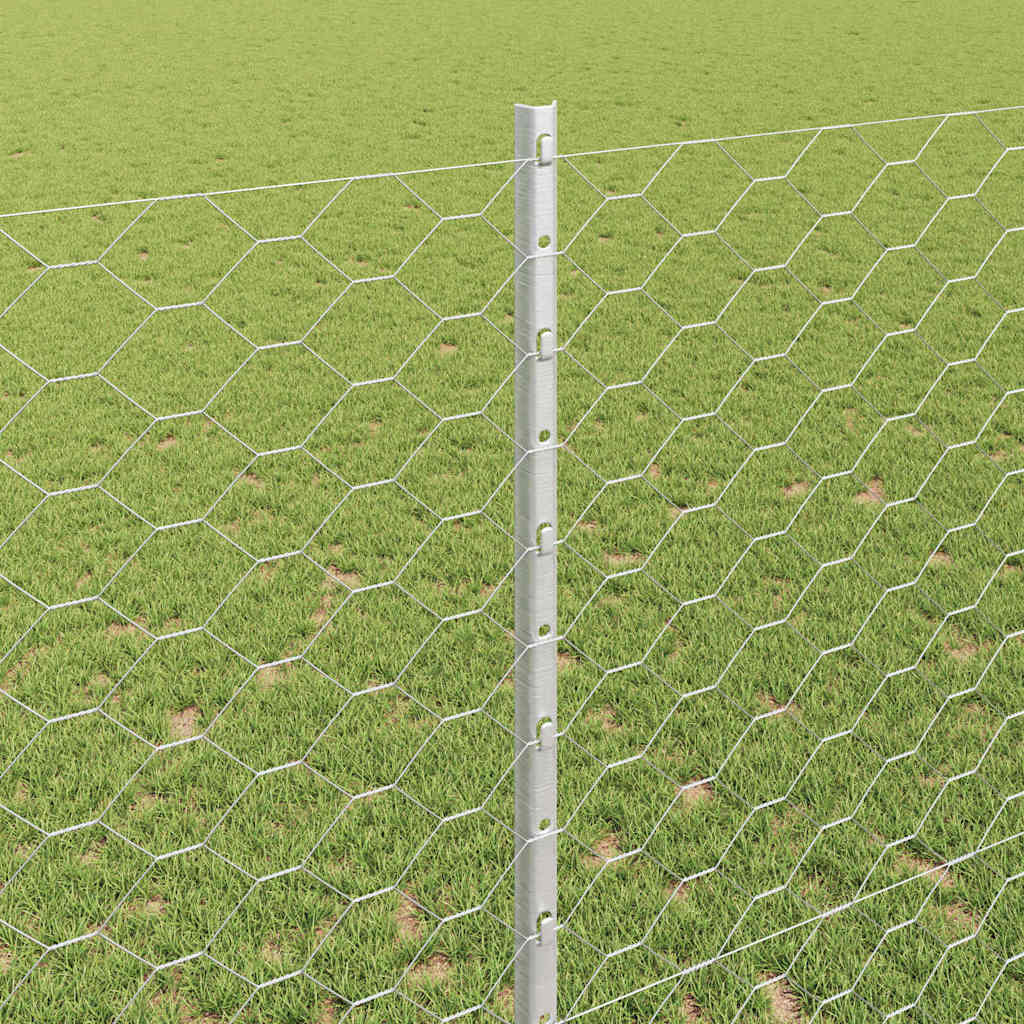 Zavarena žičana ograda 10 x 1,4 m (Š x V) Vruće pocinčani čelik