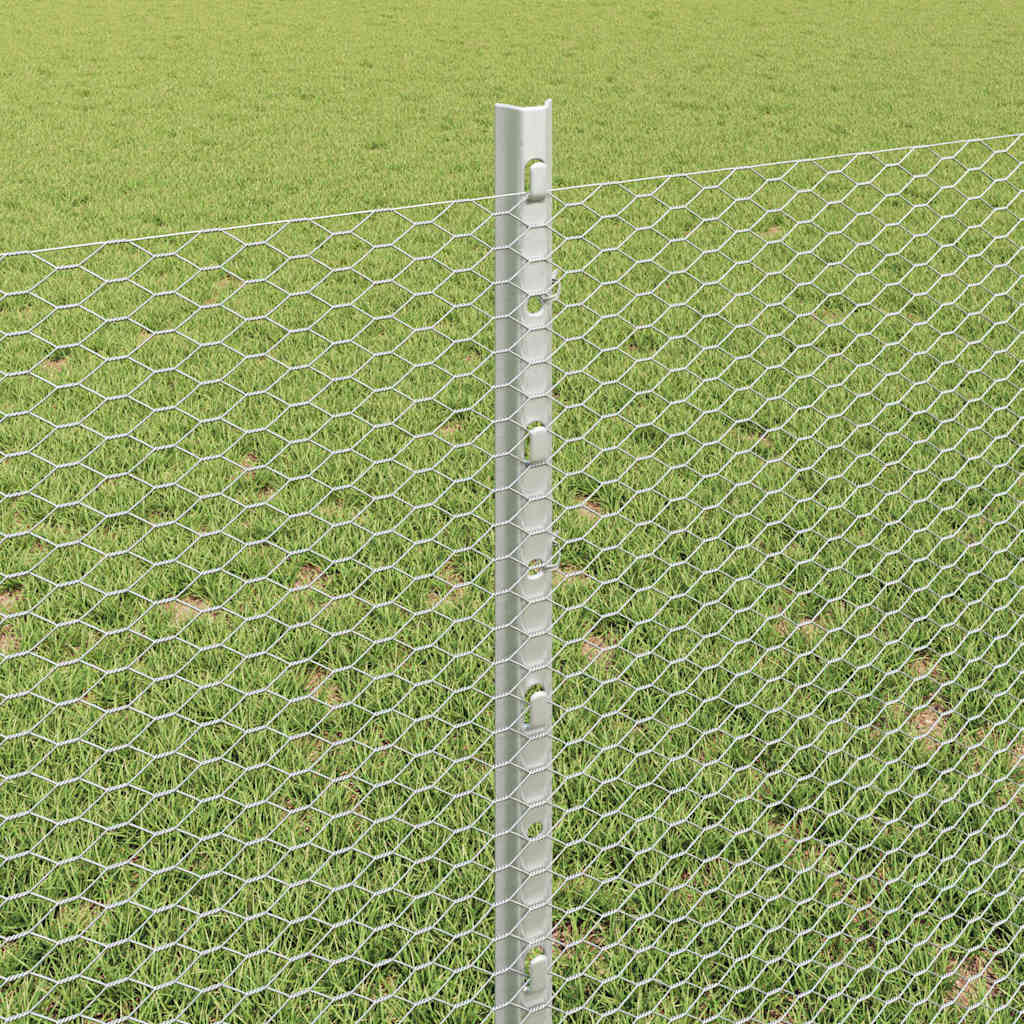 Zavarena žičana ograda 100 x 0,8 m (Š x V)