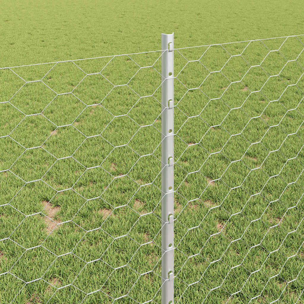 Zavarena žičana ograda 100 x 1 m (Š x V) Vruće pocinčani čelik