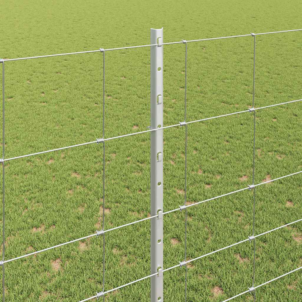 Divlja Ograde s Stupovima 25 x 1,6 m (Š x V)