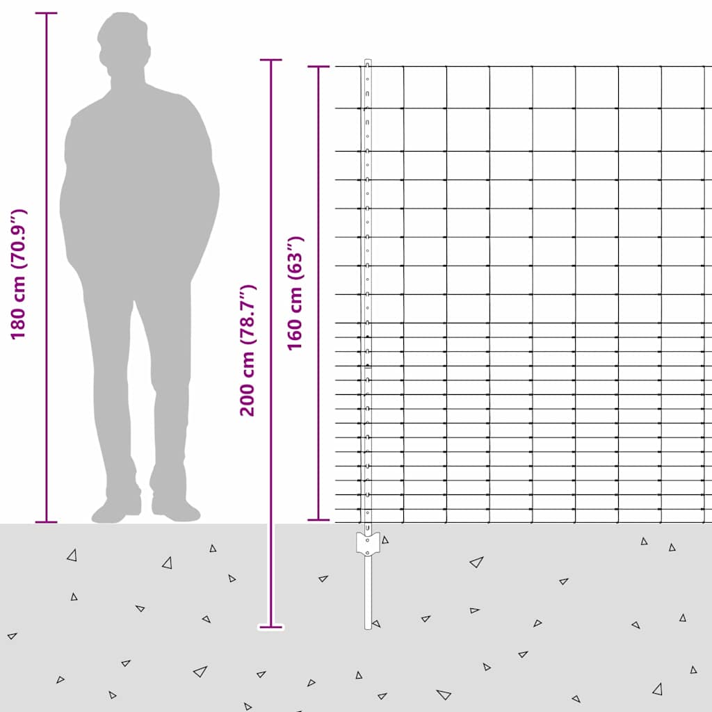 Divlja Ograde s Stupovima 25 x 1,6 m (Š x V)