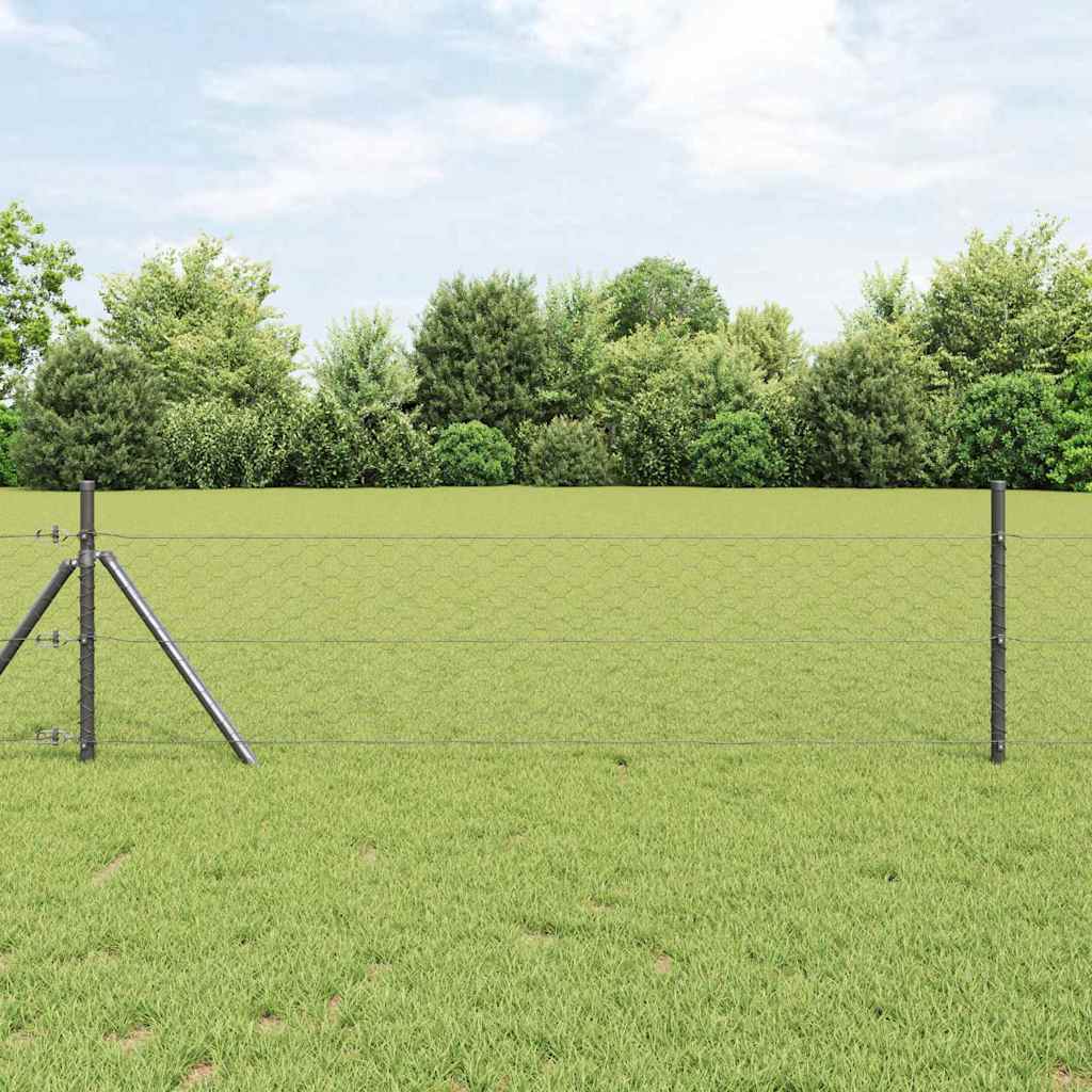 Heksagonalna ograda Siva 1,2 x 50 m PVC