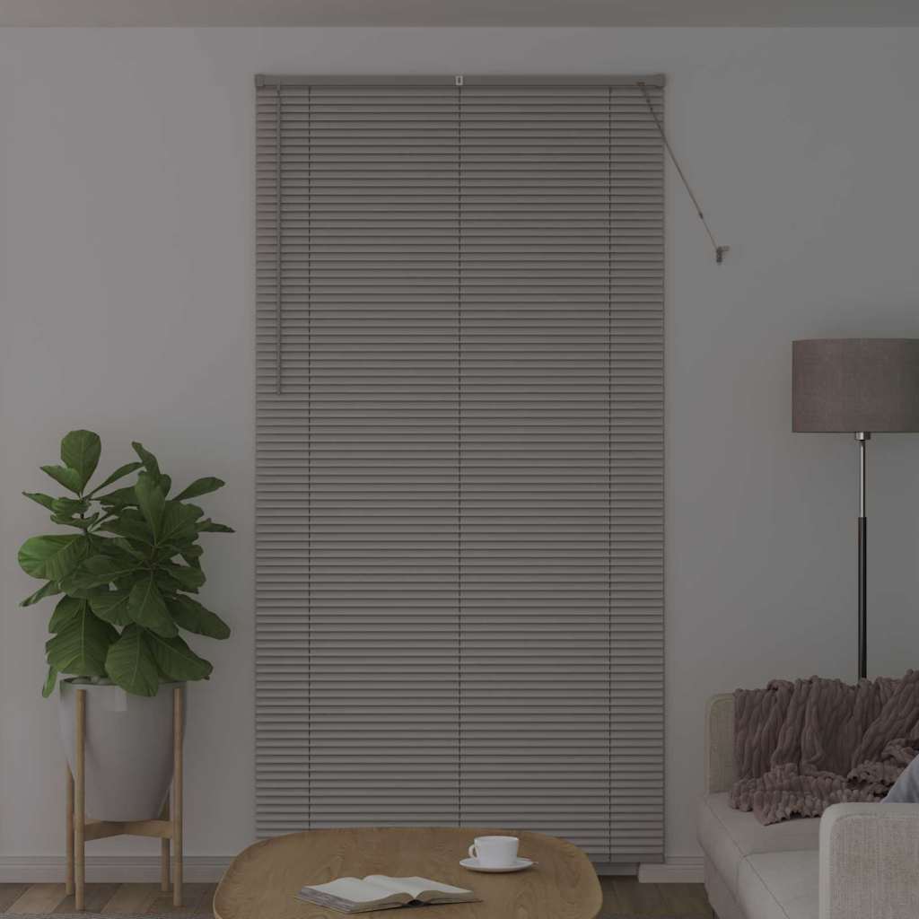 Venecijanski zastore Srebrno 220 x 115 cm Aluminij