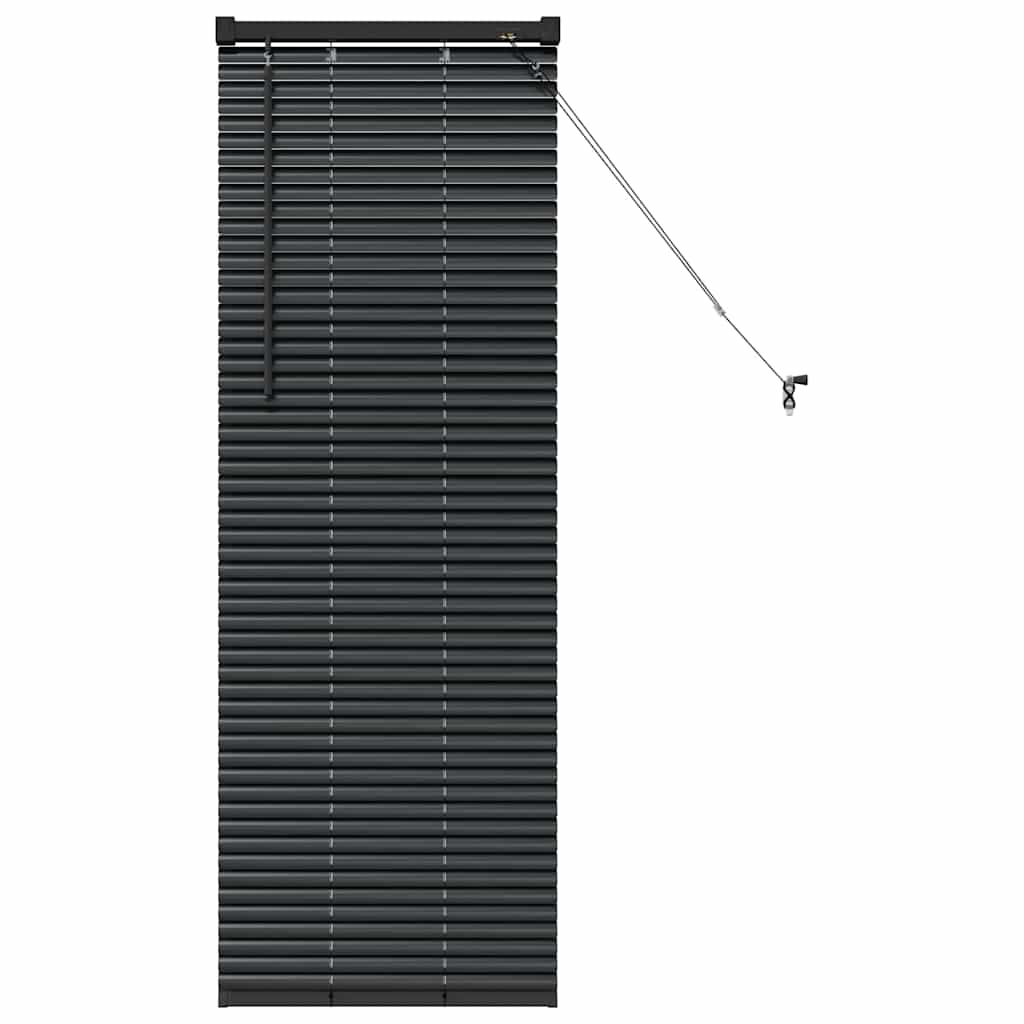 Venecijanski zastore Crna 130 x 55 cm Aluminij