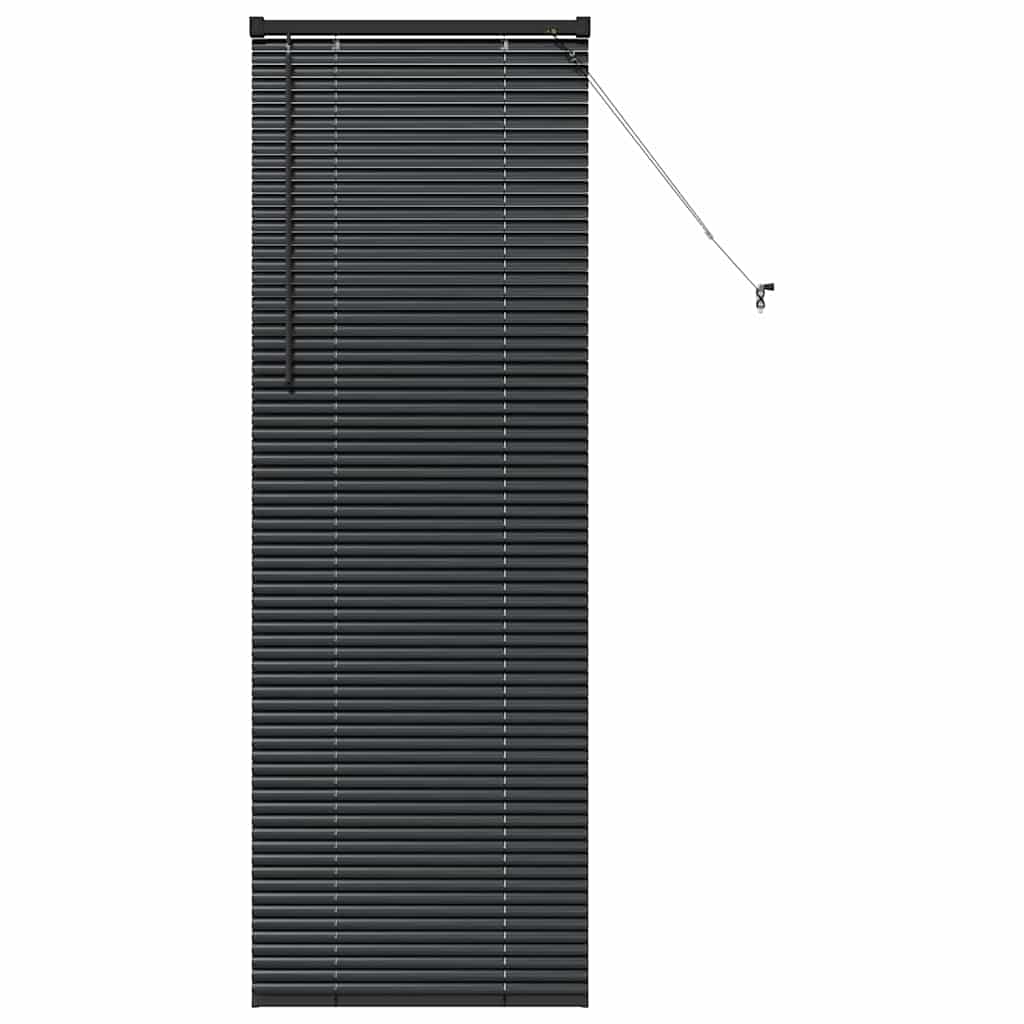Venecijanski zastore Crna 175 x 65 cm Aluminij