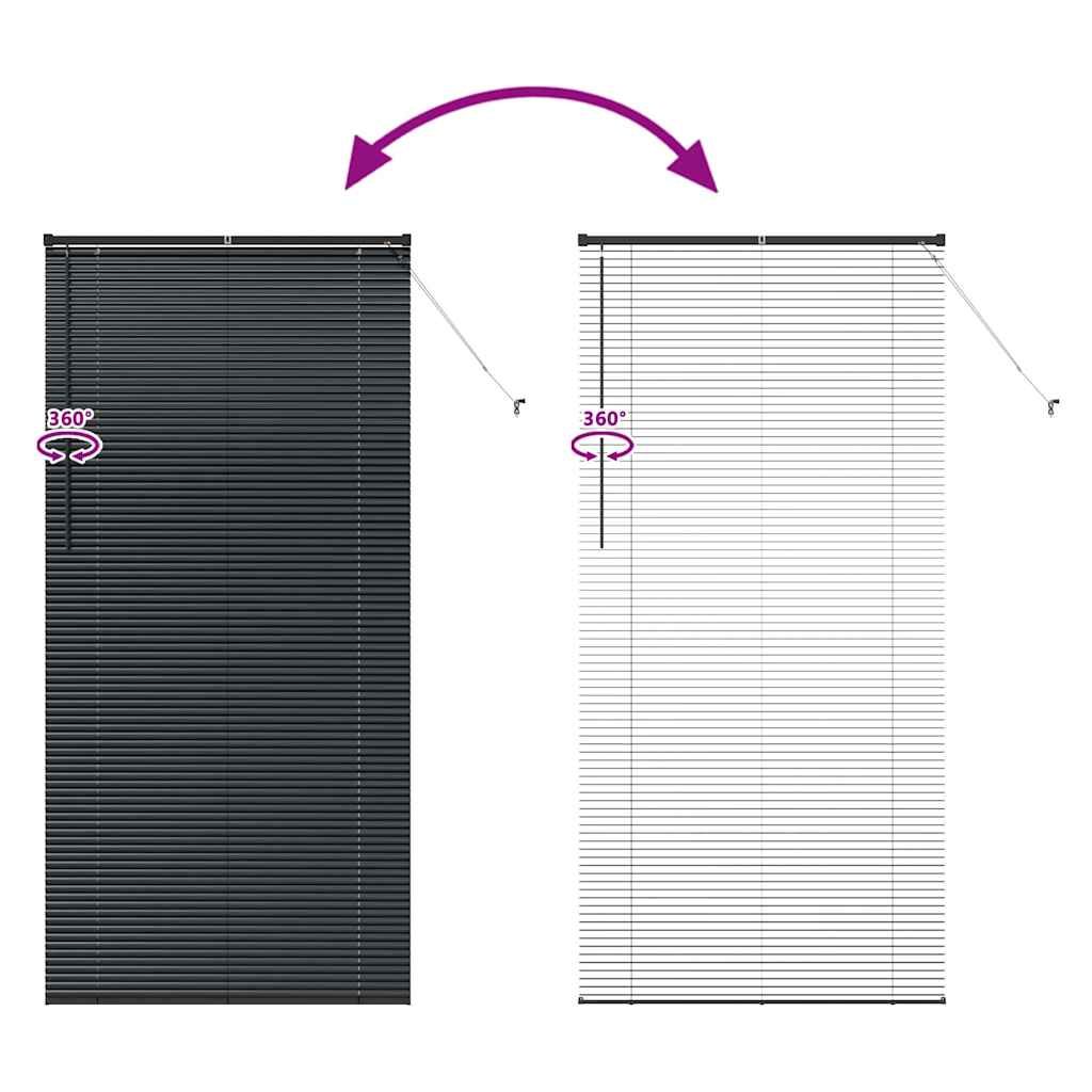 Venecijanski zastore Crna 220 x 100 cm Aluminij