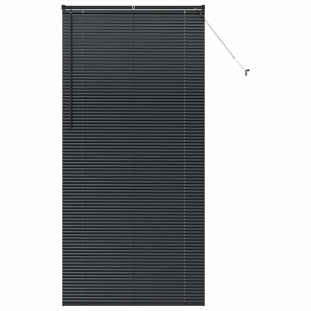 Venecijanski zastore Crna 220 x 105 cm Aluminij