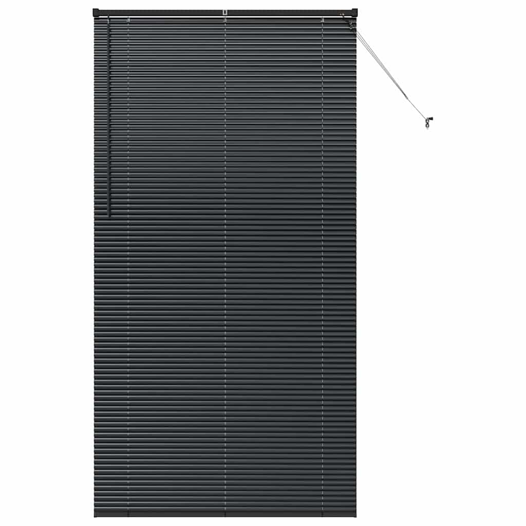 Venecijanski zastore Crna 220 x 120 cm Aluminij