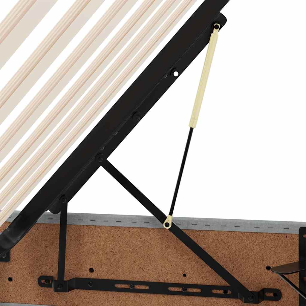 Krevet s od storage Svijetlo siva 200 x 200 cm Lažna koža