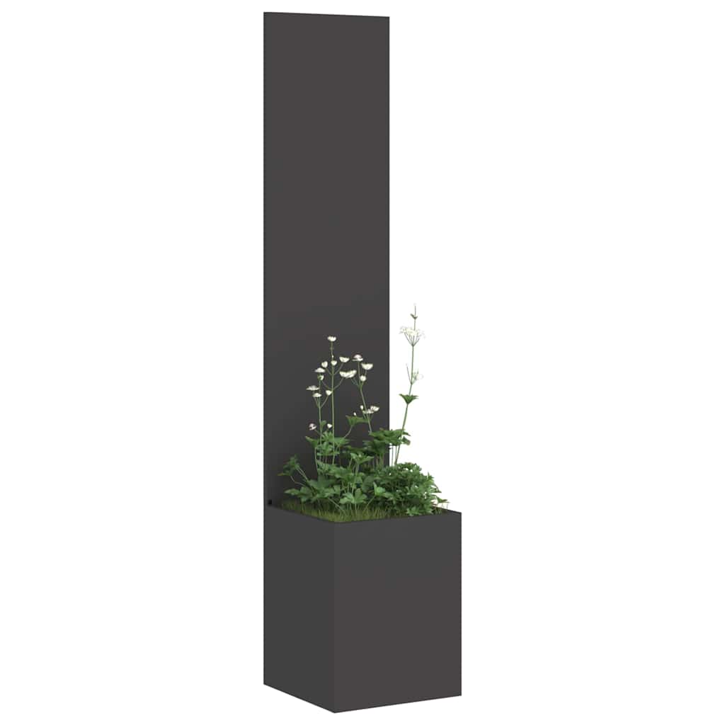 Privatnost u vrtu Crna 32 x 32 x 150 cm Hladno valjana čelična