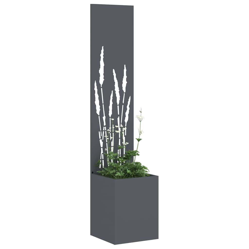 Privatnost u vrtu Antracit 32 x 150 cm Hladno valjana čelična