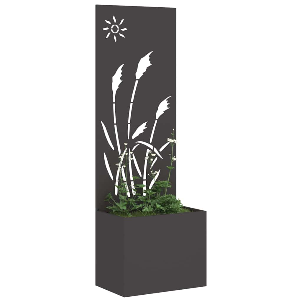 Privatnost u vrtu Crna 50 x 150 cm Hladno valjana čelična