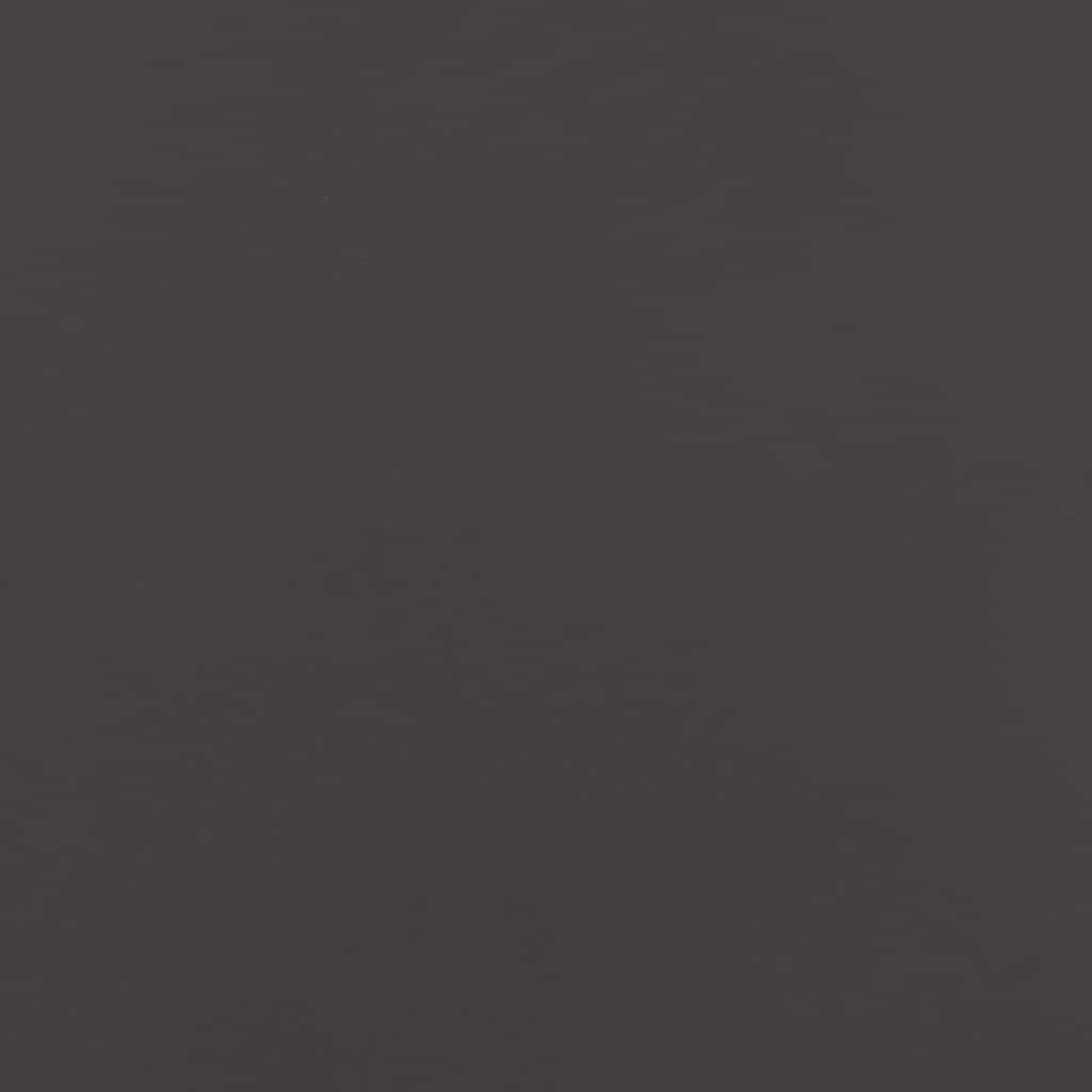 Privatnost u vrtu Crna 50 x 32 x 150 cm Hladno valjana čelična