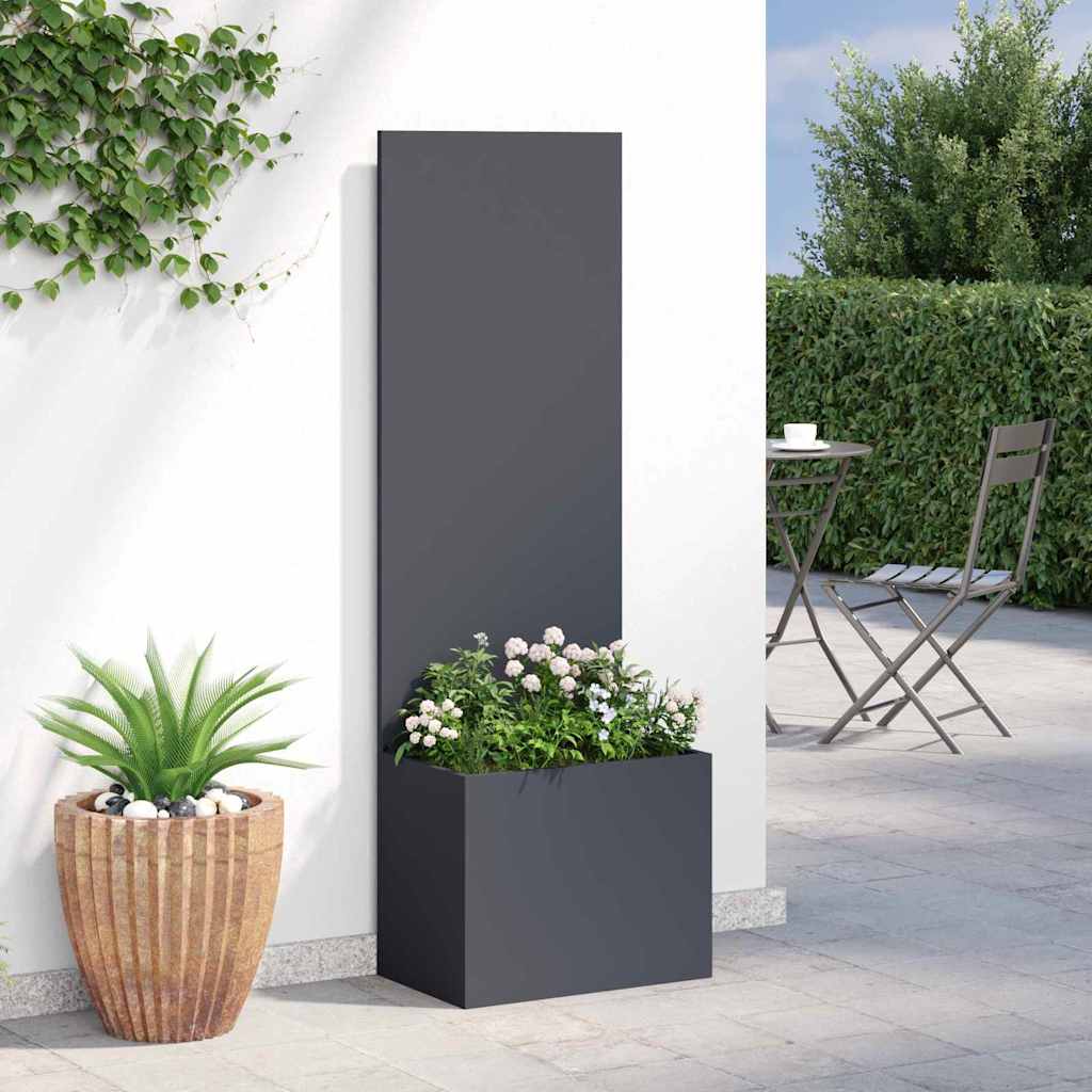 Privatnost u vrtu Antracit 50 x 150 cm Hladno valjana čelična