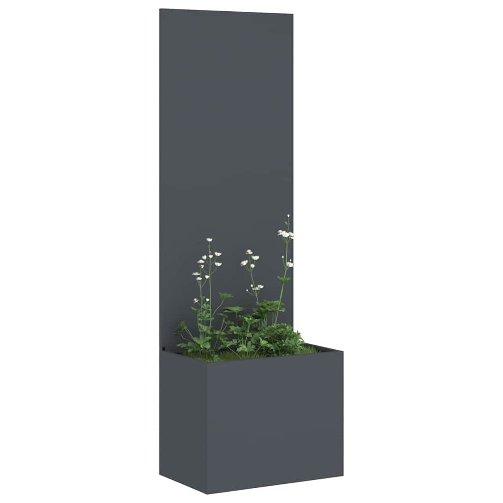 Privatnost u vrtu Antracit 50 x 150 cm Hladno valjana čelična