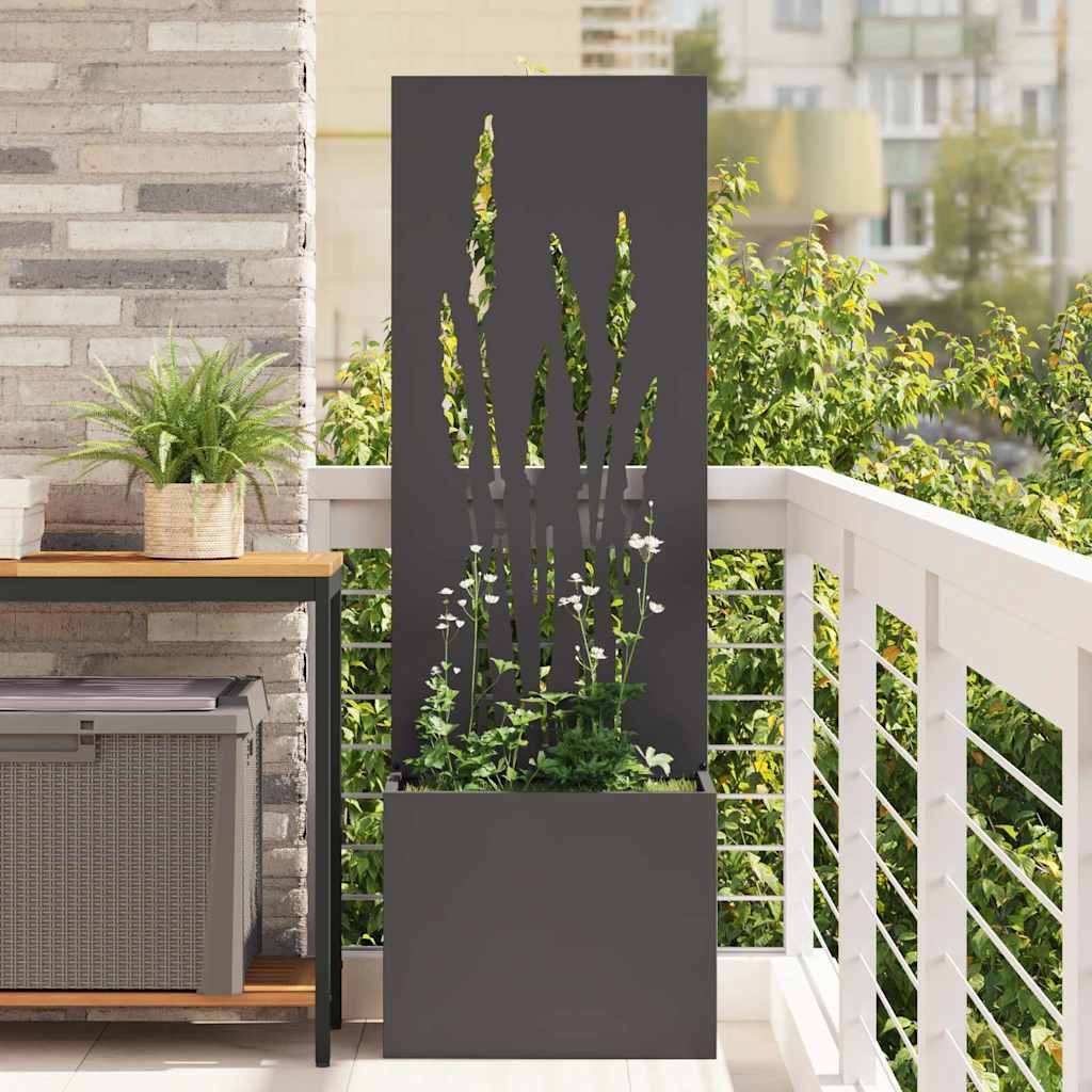 Privatnost u vrtu Crna 50 x 150 cm Hladno valjana čelična