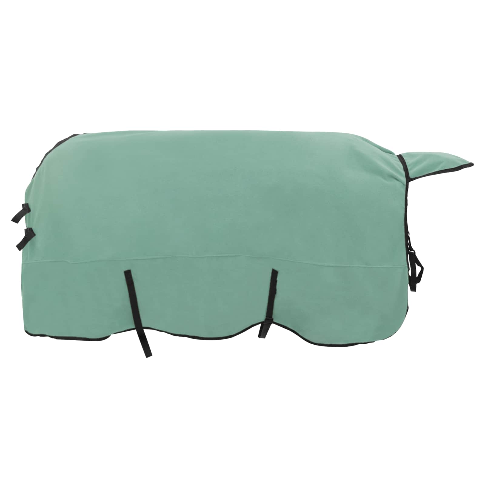 Pokrivač za konje Specijalna zelena 165 cm Poliester