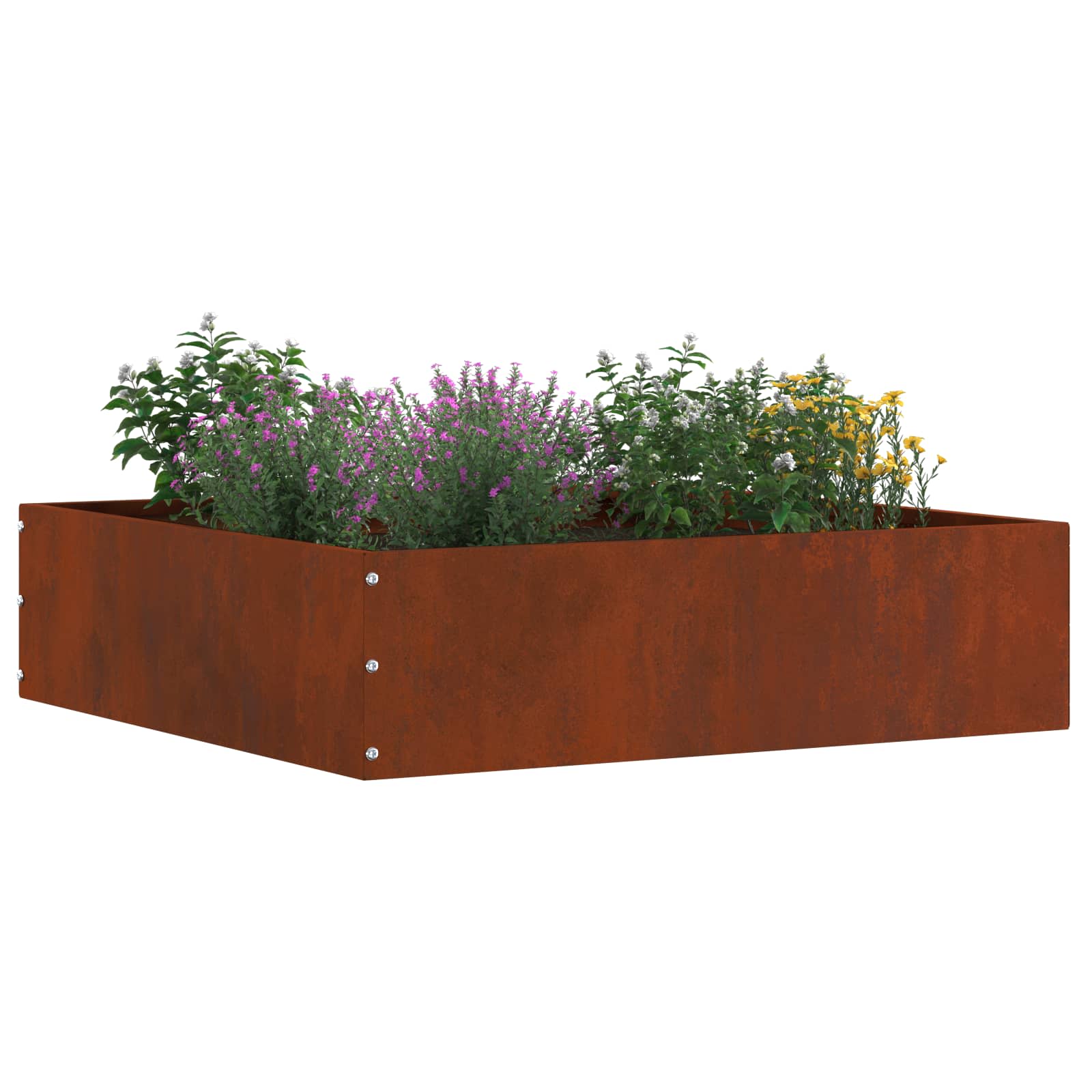 Ograda oko Travnjaka 6 pcs Rđa 50 x 50 x 13 cm