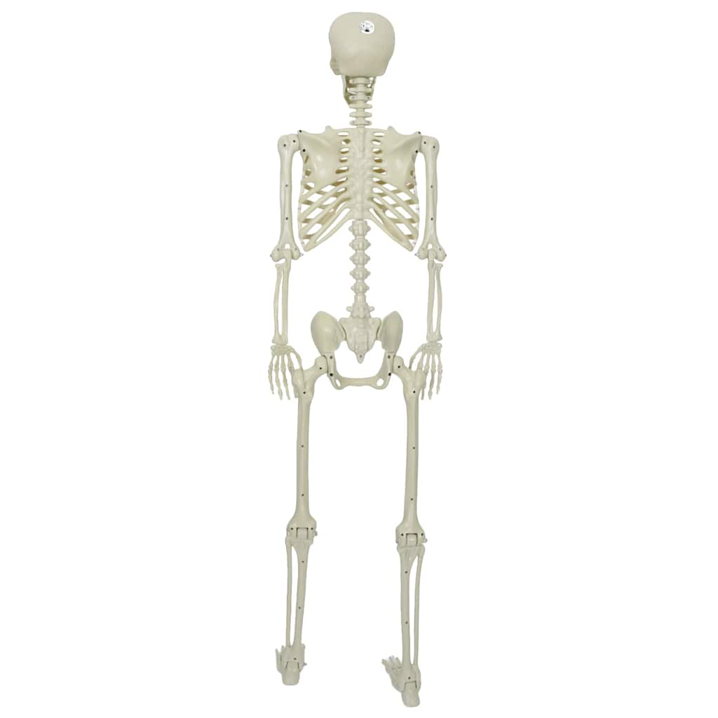 Halloween Skelet Bijelo 155 x 38.5 cm Plastika