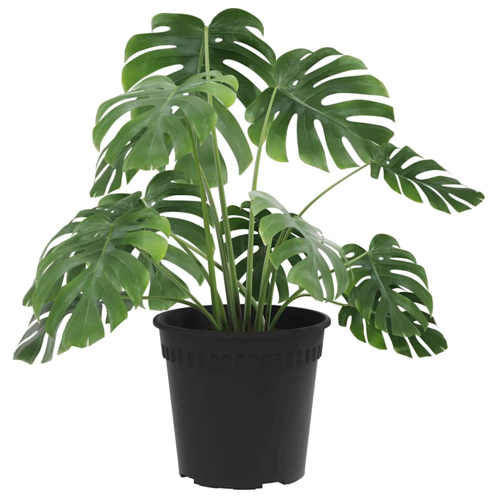 Okrugla saksija za cveće 24 pcs Crna Ø 19 x 16 cm Plastika