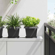 Kvadratna saksija za cvijeće 24 pcs Crna 23 x 23 x 17,5 cm