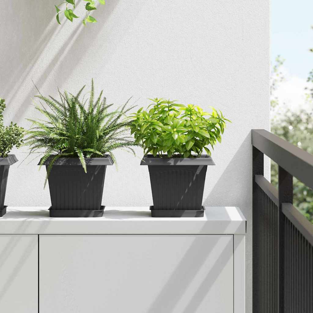Kvadratna posuda za cvijeće 24 pcs Crna 15 x 15 x 2 cm Plastika