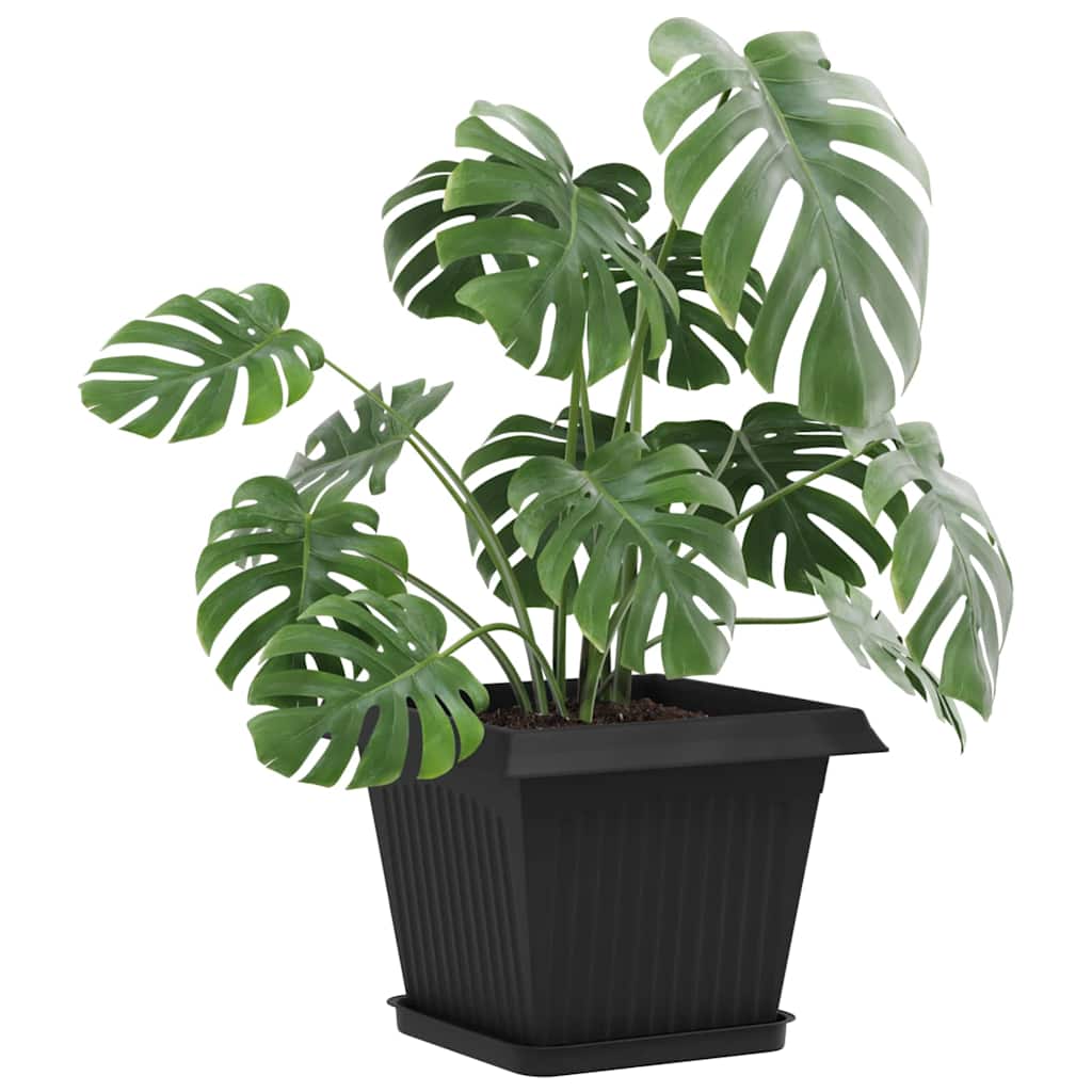 Kvadratna posuda za cvijeće 24 pcs Crna 21 x 21 x 2 cm Plastika