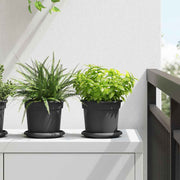 Saksije za biljke 6 pcs Crna Ø 15 x 12 cm Plastika