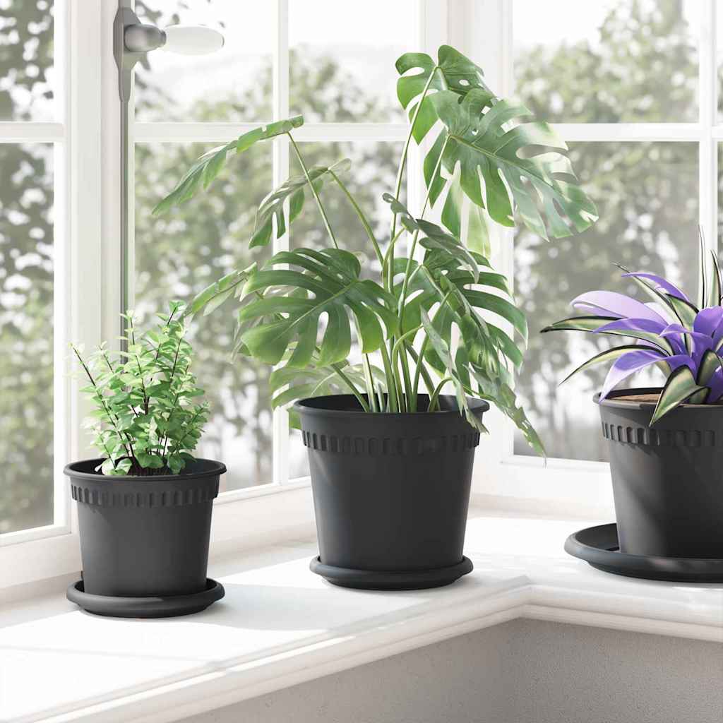 Saksije za biljke 6 pcs Crna Ø 19 x 16 cm Plastika