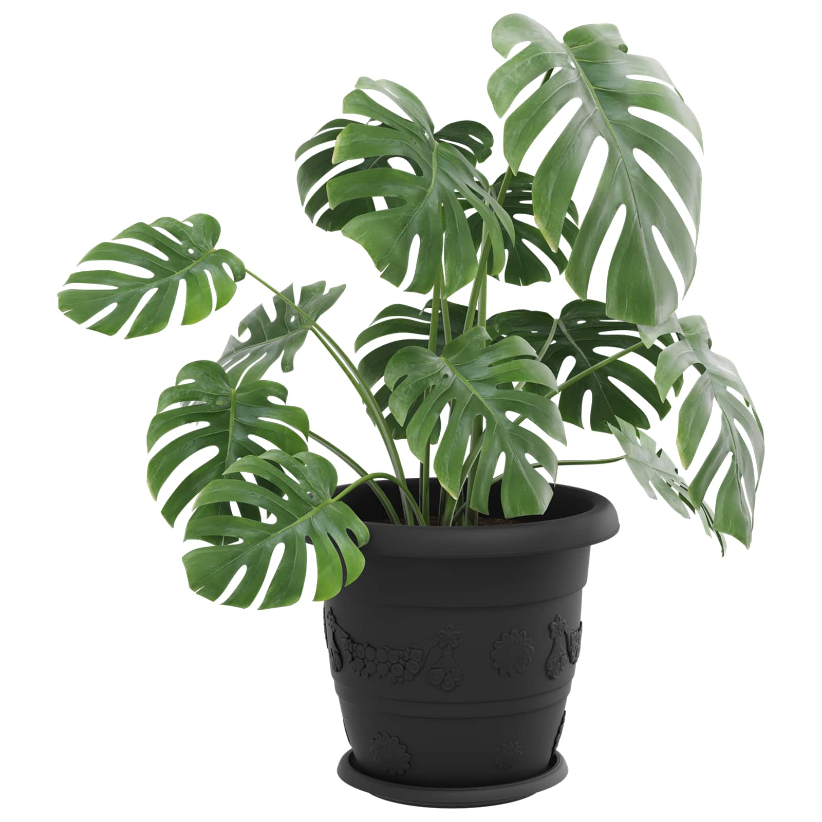 Saksije za biljke 24 pcs Crna Ø 34 x 28 cm Plastika