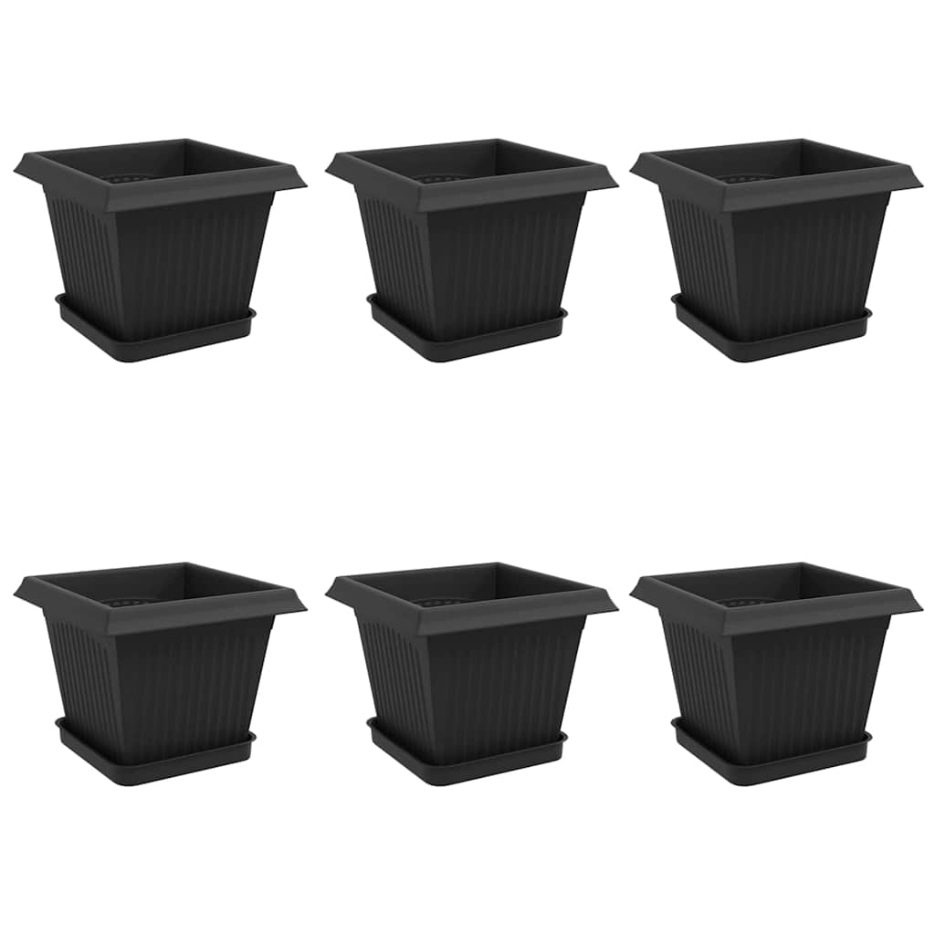 Saksije za biljke 6 pcs Crna 20 x 20 x 16 cm Plastika