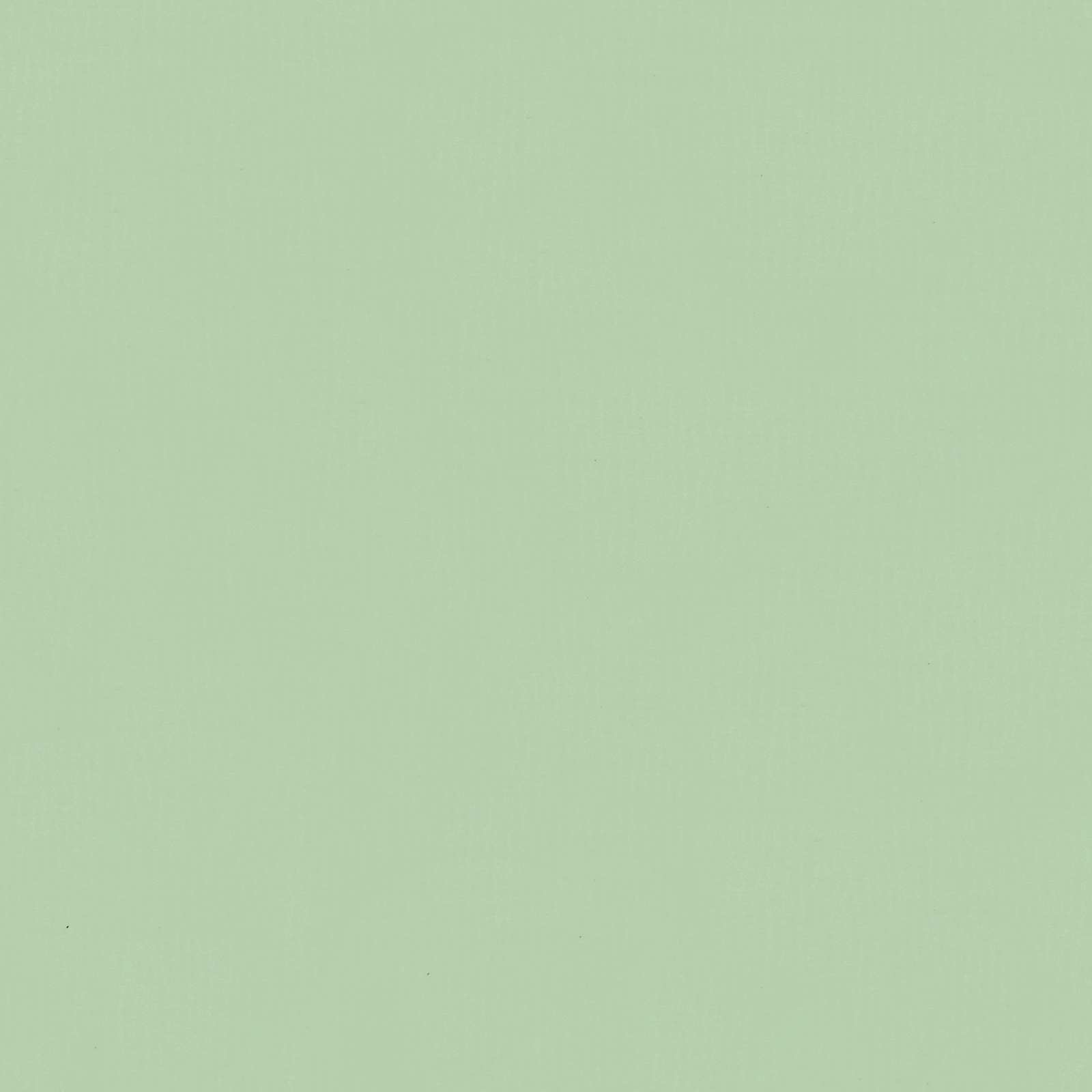 Sadilica Pastelno zelena 580 x 50 x 45 cm Cinkani čelik