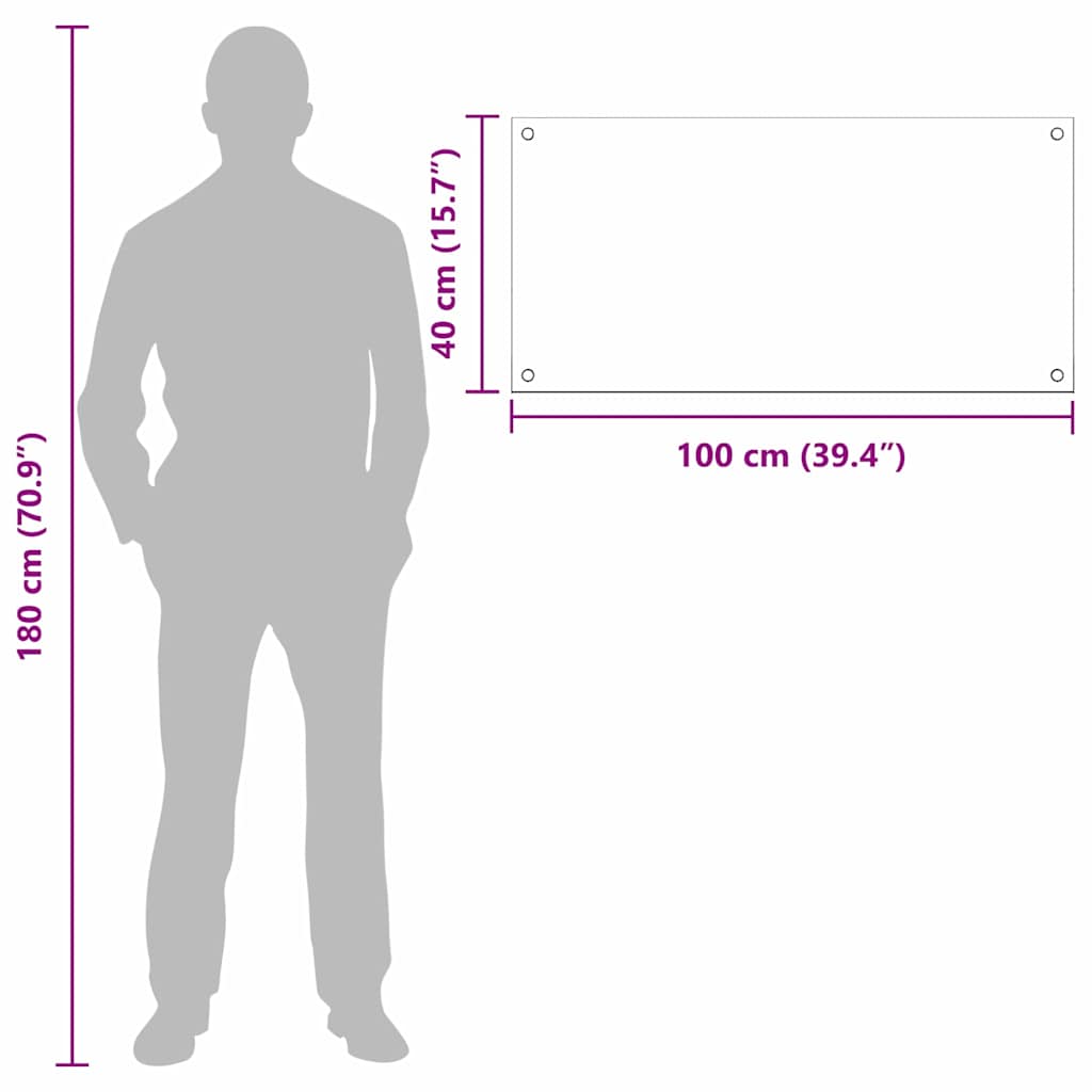 Kuhinjski zid 2 pcs *Transparent*an 100 x 40 cm